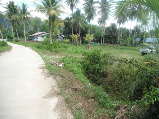 ขายที่ดินภูเก็ต