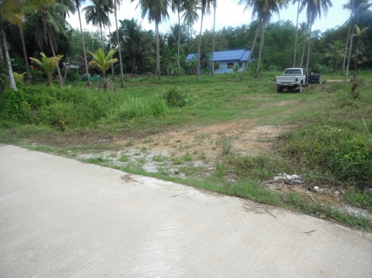 ขายที่ดินภูเก็ต