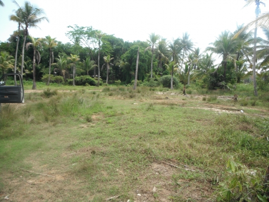 ขายที่ดินภูเก็ต