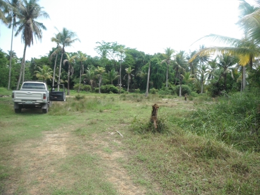 ขายที่ดินภูเก็ต