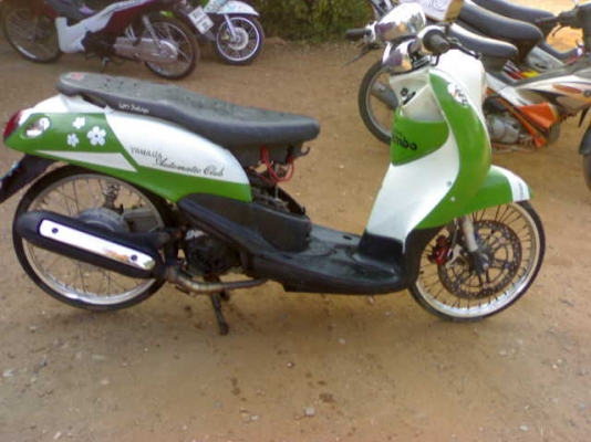 หลักฐานการส่งมีโอเเปลง