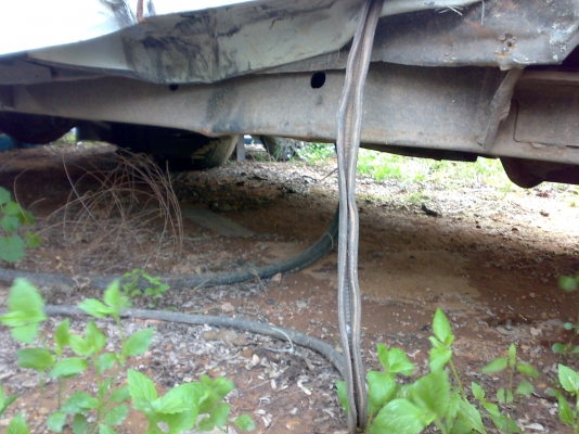 ซากบิ๊กเอ็ม ตัวแรง เครื่อง 2800cc เทอโบ เพลาลอย