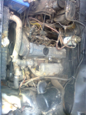 ขายรถดัสสัน 4 ขอ ขายถุกๆ ทะเบียนพร้อมโดน ขายรถดัสสัน 4 ขอ ขายถุกๆ ทะเบียนพร้อมโดน