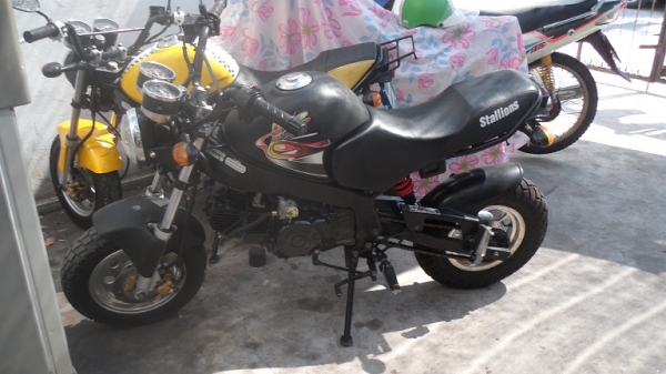 ขาย STALLIONS SOLO 125CC. สตาร์ทมือ รถปี 55 สวยๆ เดิมๆ ขาย STALLIONS SOLO 125CC. สตาร์ทมือ รถปี 55 สวยๆ เดิมๆ