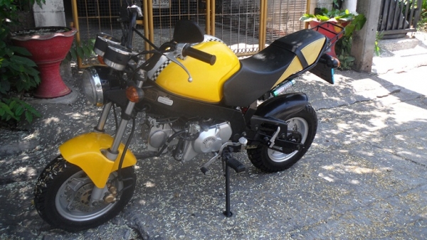ขาย STALLIONS SOLO 125CC. สตาร์ทมือ รถปี 55 สวยๆ เดิมๆ ขาย STALLIONS SOLO 125CC. สตาร์ทมือ รถปี 55 สวยๆ เดิมๆ