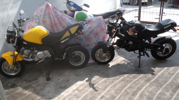 ขาย  STALLIONS SOLO 125CC. สตาร์ทมือ รถปี 55 สวยๆ เดิมๆ