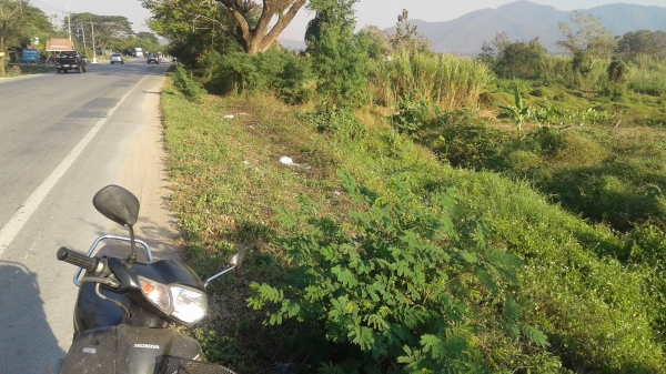 ขายที่ดินพร้อมโฉนด 2 ไร่ 3งาน4ตารางวา ขายที่ดินพร้อมโฉนด 2 ไร่ 3งาน4ตารางวา