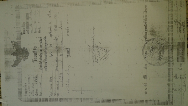 ขายที่ดินพร้อมโฉนด 2 ไร่ 3งาน4ตารางวา