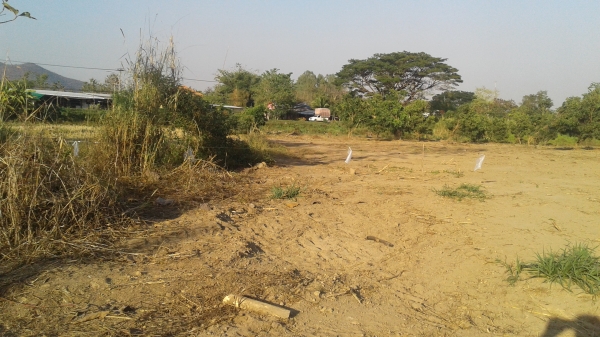 ขายที่ดินพร้อมโฉนด 2 ไร่ 3งาน4ตารางวา ขายที่ดินพร้อมโฉนด 2 ไร่ 3งาน4ตารางวา