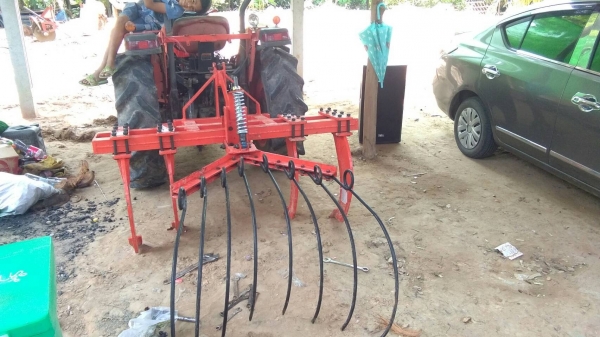 หนวดกุ้งครับ