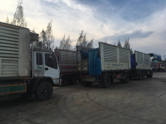 Isuzu 270 ยูโรทู ใบไม้เขียว เครื่องส้ม แม่ลูกดัมพ์อู่ซุ่นชัย เดิมบาง รุ่นยอดนิยม แรงอึดประหยัด ทะเบียนพร้อม Isuzu 270 ยูโรทู ใบไม้เขียว เครื่องส้ม แม่ลูกดัมพ์อู่ซุ่นชัย เดิมบาง รุ่นยอดนิยม แรงอึดประหยัด ทะเบียนพร้อม