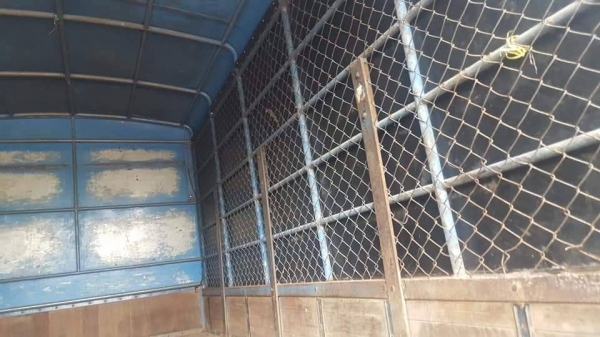 ISUZU NPR59LU5F M 115แรงม้า แท้ห้าง ปี37 รถสวย พร้อมใช้ เครื่องดี คัทซีสวย ราคาคุยได้ เล่มพร้อม 0872976734