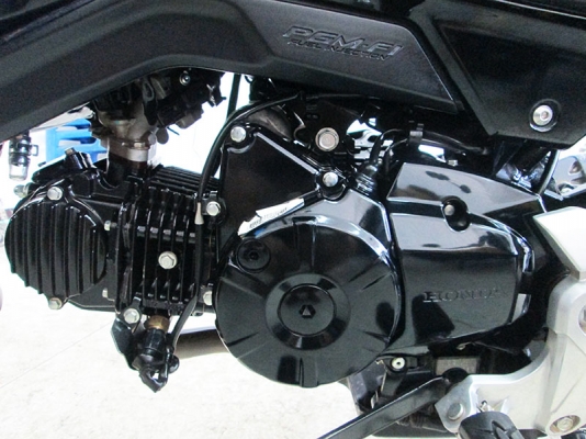 (โอนฟรี) ขาย Honda Msx 125 SF ปี 2017 ตัวใหม่ล่าสุด ไมล์ 4884 กม รถหัวฉีดประหยัดน้ำมัน