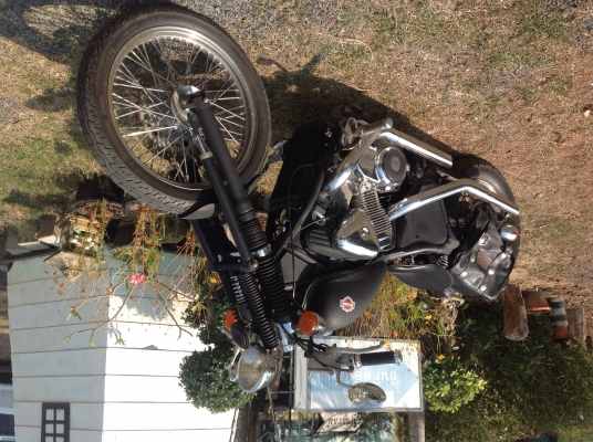 เงาไม้รีสอร์ทที่พักสำหรับชาวฮาร์เลย์