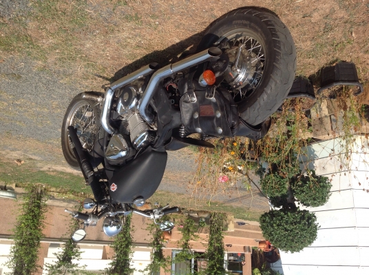 เงาไม้รีสอร์ทที่พักสำหรับชาวฮาร์เลย์