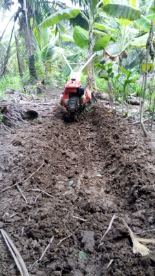 รถพรวนดินสาดดิน ชิบุระ รถพรวนดินสาดดิน ชิบุระ