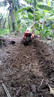 รถพรวนดินสาดดิน ชิบุระ รถพรวนดินสาดดิน ชิบุระ