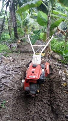 รถพรวนดินสาดดิน ชิบุระ รถพรวนดินสาดดิน ชิบุระ