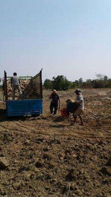 อีแต๋น140แรงใช้น้อยมากๆ