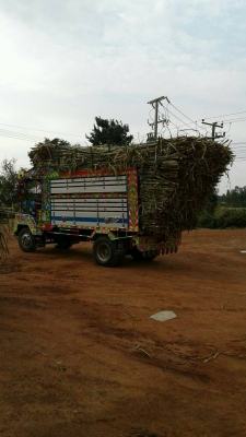 อีแต๋น140แรงใช้น้อยมากๆ