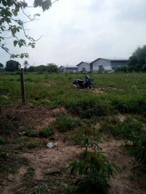 ที่ดินสวย 4ไร่ ราคาถูก