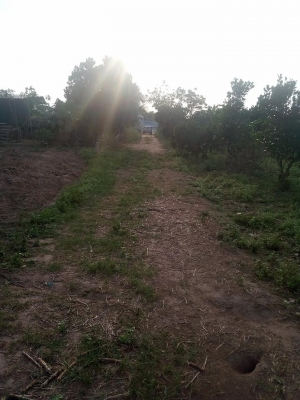 ที่ดินสวย 4ไร่ ราคาถูก