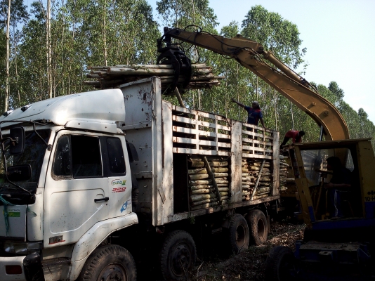 ขายแบคโฮล้อยางPC60ติดปากคีบ 250000 บาท