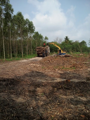 ขายแบคโฮล้อยางPC60ติดปากคีบ 250000 บาท