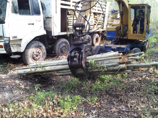 ขายแบคโฮล้อยางPC60ติดปากคีบ 250000 บาท