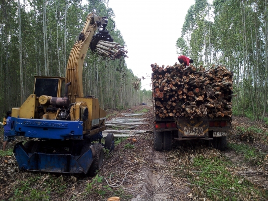 ขายแบคโฮล้อยางPC60ติดปากคีบ 250000 บาท