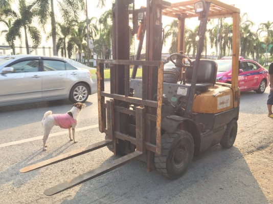 รถฟอร์คลิฟต์TCM-FHD1.5Z8 เสาสูง3ม.เครื่องisuzu ดีเซล พร้อมใช้ รถฟอร์คลิฟต์TCM-FHD1.5Z8 เสาสูง3ม.เครื่องisuzu ดีเซล พร้อมใช้