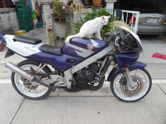 Honda nsr