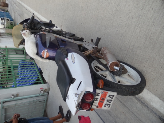 Honda nsr Honda nsr