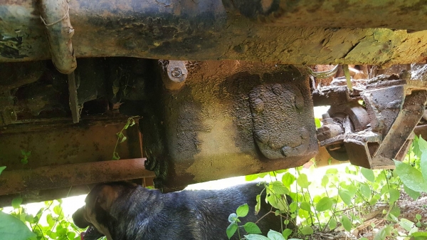 ขายแพ็คคู่ แบคโฮ KOMATSU PC120-3 เอกสารใบซื้อขาย กับรถเทนเลอร์ท้ายลาด 10 ล้อ หัวยาว เครื่อง 6BD1 165 แรงม้า เฟืองท้ายใหญ่ เล่มทะเบียนครบ ขายแพ็คคู่ แบคโฮ KOMATSU PC120-3 เอกสารใบซื้อขาย กับรถเทนเลอร์ท้ายลาด 10 ล้อ หัวยาว เครื่อง 6BD1 165 แรงม้า เฟืองท้ายใหญ่ เล่มทะเบียนครบ