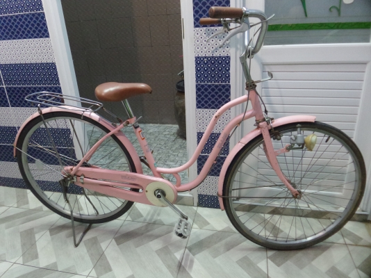 จักรยานแม่บ้านญี่ปุ่น