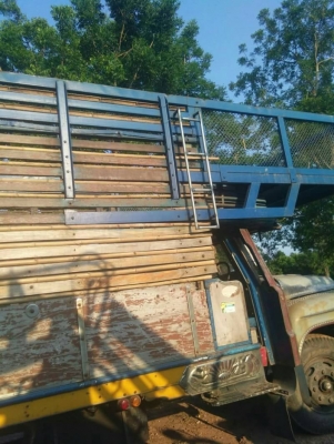 ISUZU หัวยาว 175