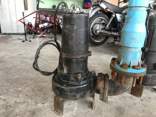 ขายไดโว่ Tsurumi 5HP. 380V made in Japan ใบดูดโคลน สภาพเดิมๆ เพิ่งยกออกจากบ่อ หมุนนิ่ม พร้อมใช้งาน มี 2ตัวครับ