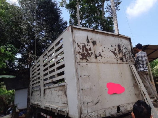 อีซูสุแม่ลูก 270 ปี 49 แม็คโหลดแม่สองเพลาลูกสองคานไม่ดั้มพ์ราคา 1,550,000 รถชุมพร