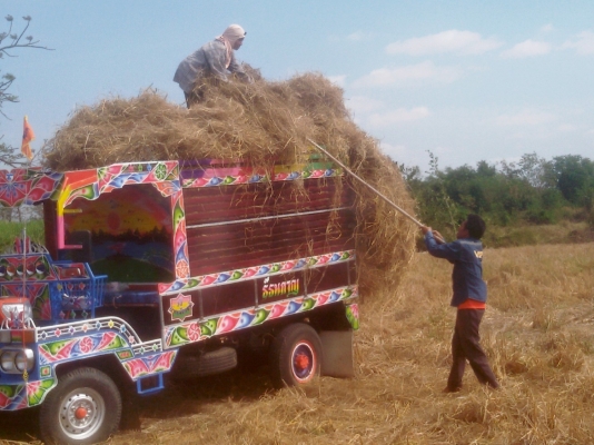 ขายอีแต๋น