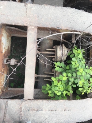 ขาย 245,000 บาท โลเบต 2 คาน กว้าง 3 เมตร พื้นที่ใช้สอย 6.2 เมตร รวมความยาวคอ 10 เมตร เอกสารเล่มทะเบียน  รถอยู่ สระบุรี โทร 0610710295