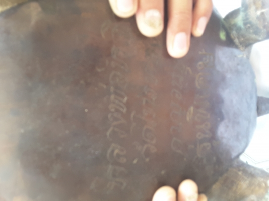 หลวงพ่อหลิว รุ่นพิเศษ