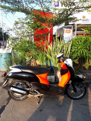 ราคาถูก ฟีโน่ สีดำส้มขาว รถใช้งานได้ดี ขับนิ่มๆ ราคาถูก ฟีโน่ สีดำส้มขาว รถใช้งานได้ดี ขับนิ่มๆ