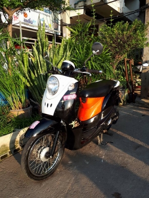 ราคาถูก ฟีโน่ สีดำส้มขาว รถใช้งานได้ดี ขับนิ่มๆ ราคาถูก ฟีโน่ สีดำส้มขาว รถใช้งานได้ดี ขับนิ่มๆ