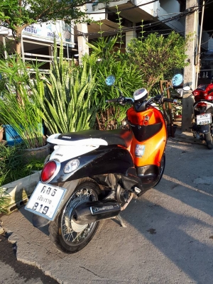 ราคาถูก ฟีโน่ สีดำส้มขาว รถใช้งานได้ดี ขับนิ่มๆ ราคาถูก ฟีโน่ สีดำส้มขาว รถใช้งานได้ดี ขับนิ่มๆ