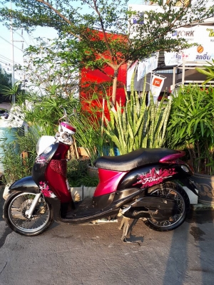 Fino ปี 2553 สีดำชมพูขาว ขับดี ขี่ง่าย พร้อมใช้