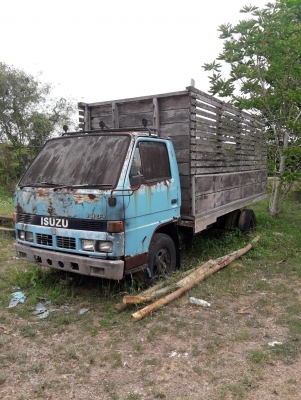 ขาย 6ล้อ isuzu NKR 110แรง ใส่เครื่อง115 ไม่มีเล่ม