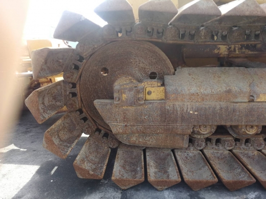 D5C นำเข้า