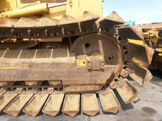 D5C นำเข้า