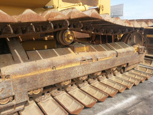 D5C นำเข้า