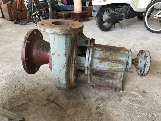 ขายหัวปั้มน้ำหอยโข่ง Peerless made in USA ใบพัดทองเหลือง ขนาดเข้า 4นิ้ว ออก 3นิ้ว (ต่อท่อเข้า 6นิ้วมาครับ) สภาพดีเดิมๆ พร้อมใช้งาน มี 2ตัว ราคาตัวละ 7,800 บาท